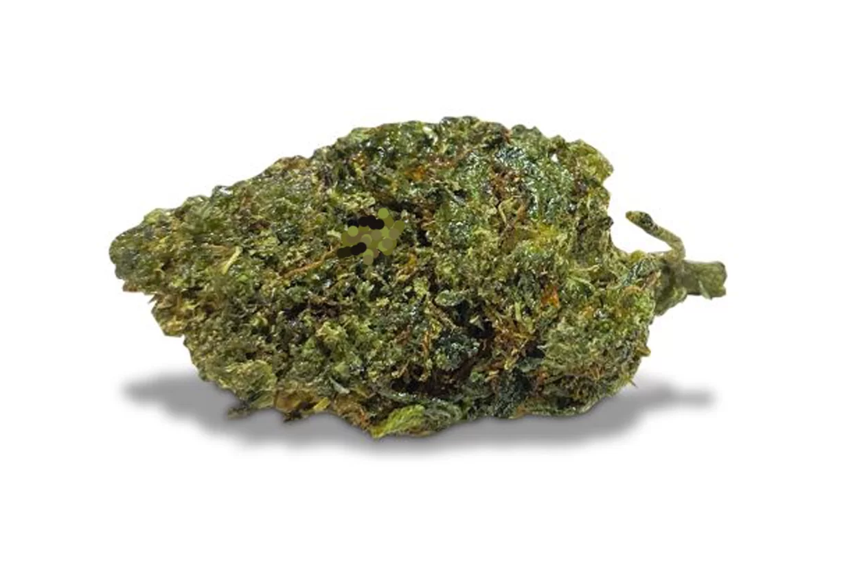fleur-cbd-Gelato