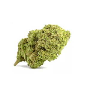 Fleurs-cbd-northern light