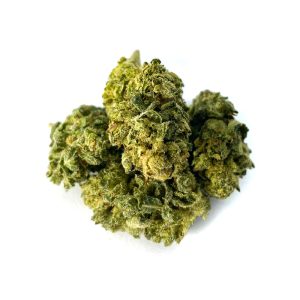 cbn-golden-haze