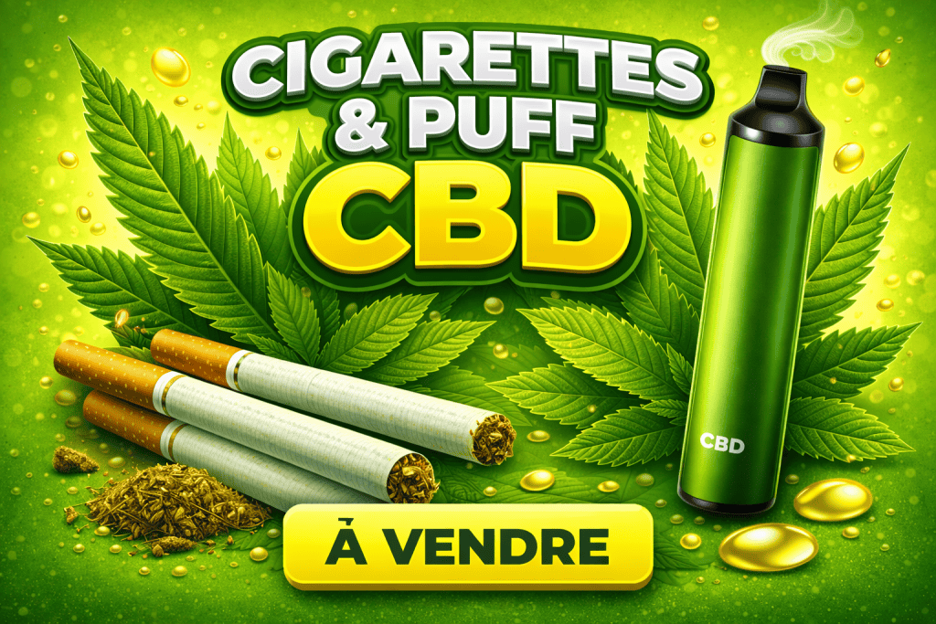 Chatgpt Image 21 Janv. 2026, 10_05_28 — StrongCBD