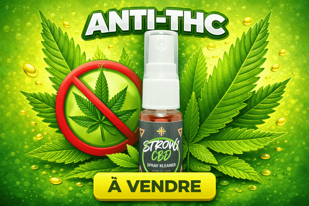 Chatgpt Image 21 Janv. 2026, 10_13_03 — StrongCBD